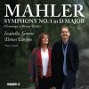 Download track Symphony No. 1 In D Major III. Feierlich Und Gemessen, Ohne Zu Schleppen