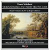 Download track Schubert - Sonata For Violin And Piano - IV. Allegro Vivace-Schubert-Vl. Sonat...