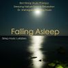 Download track Falling Asleep