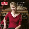 Download track Adagio In G Major, BWV 968