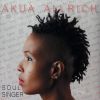 Download track Soul Singer