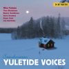 Download track White Christmas (Jag Drömmer Om En Jul Hemma - Valkea Joulu)