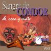 Download track Mambo De Machaguay (Perú)