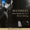 Download track Piano Sonata No. 5 In C Minor, Op. 10 No. 1 Little Pathetique (Ludwig Van Beethoven) II. Adagio Molto