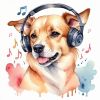 Download track Música Para Acalmar Cachorro Vira Lata