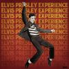 Download track I Remember Elvis Presley