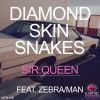 Download track Sir. Queen (Instrumental Mix)