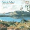 Download track 20 Serenata In G Major- II. Allegro Assai