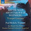 Download track Shostakovich Piano Concerto No. 1 In C Minor, Op. 35 (Arr. T. Dokshizer & P. Merkelo For Trumpet, Piano & String Orchestra) IV. Allegro Con Brio