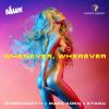 Download track Whenever, Wherever (Radio Edit)