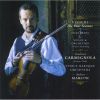 Download track 13.13. Violin Concerto In E Flat Major RV 257: Andante Molto Quasi Allegro