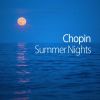 Download track Paul Von Schilhawsky - Chopin- Mazurka No. 25 In B Minor, Op. 33 No. 4