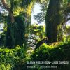 Download track Jade Garden (Original Mix)
