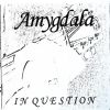 Download track Amygdala