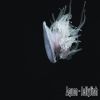 Download track Jellyfish (Original Mix)