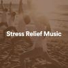 Download track Stress Relief Music, Pt. 17