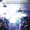 Download track You Won't Bring Me Down (Mauro Mozart Remix) (Allan Natal)