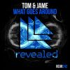Download track What Goes Around (Extended Mix)