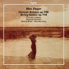 Download track Clarinet Quintet In A Major, Op. 146: II. Vivace
