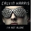 Download track I'M Not Alone (Deadmau5 Mix)