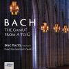 Download track 10 Toccata & Fugue In F Major, BWV 540 I. Toccata