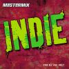 Download track Mastermix Indie DJ Music CDOf Mixes Megamixes (Music Factory Entertainment Group) (Single)