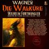 Download track Die Walküre, Act 2, Scene 2: 