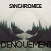 Download track Denouement (Original Mix)