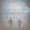 Download track Runaway