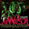 Download track Tribe-Olution Continuous Mix