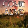 Download track Come Alive - Tribute To Hugh Jackman, Keala Settle, Daniel Everidge And Zendaya (Instrumental Version)