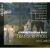 Download track Chaconne In D Minor From Partita 2 For Violin, BWV 1004 - Transcribed By Ferruccio Busoni'