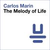 Download track The Melody Of Life (Original Mix)