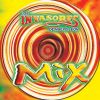 Download track Mega-Mix Ranchero: Versión Rodeo Dance Megamix (Medley)