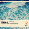 Download track Summerfish (Mark & Lukas Remix)