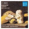 Download track 8. Kantate BWV 94. Choral: Was Frag Ich Nach Der Welt