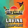 Download track Trampoline