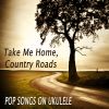 Download track Take Me Home, Country Roads (Instrumental Version)