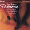 Download track Pepe Romero - Flamenco