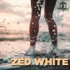Download track Zero Zero Four (Paul Sawyer Remix)