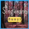 Download track Singkrone Bunyi