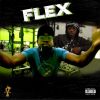 Download track Flex (Radio Edit)