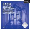 Download track 14. Canonic Variations On Vom Himmel Hoch Da Komm Ich Her BWV 769: Variatio 4