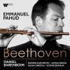 Download track Beethoven: Trio For Piano, Flute And Bassoon, WoO 37: III. Thema Andante Con Variazioni'