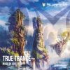 Download track True Trance Continuous Mixed By Luke Terry