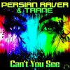 Download track Cant You See (Redtzer Remix)