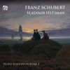 Download track Piano Sonata No. 21 In B-Flat Major, D. 960 II. Andante Sostenuto