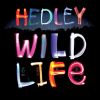 Download track Wild Life