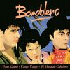 Download track El Bandido Caballero