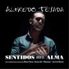 Download track Sentidos Del Alma (Soleá)